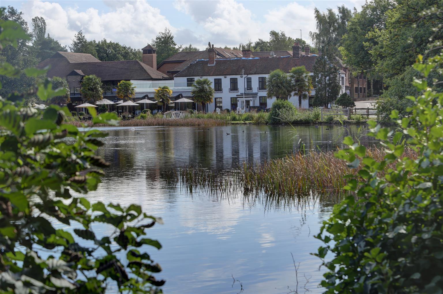 Frensham Pond Country House Hotel & Spa ฟาร์แนม ภายนอก รูปภาพ